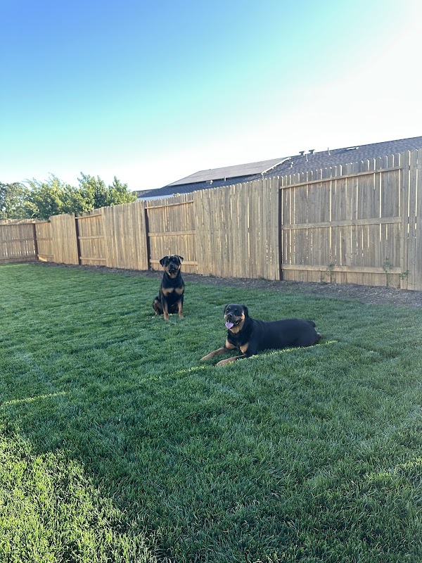 Delta Lawn and Garden